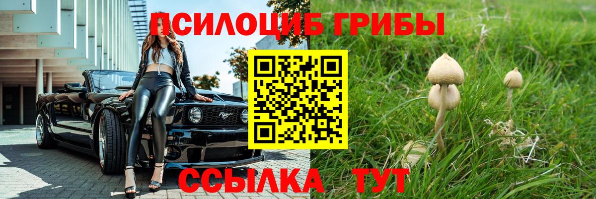 Псилоцибиновые грибы ЛСД  дарнет шоп  Шатура  Вход с VPN 